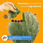 Toast! Before You Drink Gummies - Alcohol & Liver Support Supplement for Drinking & Better Morning - Recovery, Relief & Detox - L-Cysteine, Milk Thistle, Ginseng, Vitamins - Cherry Flavor - 10 Packs