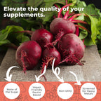 Eleva Nutrition Sugar-Free Beet Root Gummies- Vitamin C & B9- Memory & Focus Chews- Nitric Oxide -Energy Beet Supplement- 90 Organic Beetroot Chews for Men & Women