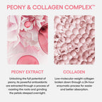 LANEIGE Bouncy and Firm Sleeping Mask: Revitalize, Smooth, Peony & Collagen Complex, Barrier-Boosting Hydration