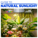 Barrina Hanging Grow Light Bulbs for Indoor Plant, 25W Full Spectrum, Timer
