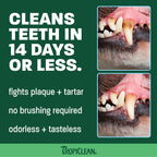 TropiClean Fresh Breath Dental Water Additive, Dog Breath Freshener, 33.8oz