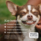 PetLab Co. ProBright Dental Powder for Medium Sized Dogs