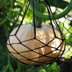 Pack 10 Melon Hammock Watermelon Nets,Melon Hammock for Trellis Heavy Duty Watermelon Nets,Perfect for Growing Cantaloupe Black