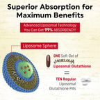 Liposomal Glutathione 2000 mg with L-Serine, L-Glycine & Sulforaphane – Active L-Glutathione Unique Formulation to Enhance Absorption - Master Antioxidant, Detoxifying & Immune | 240 Softgels