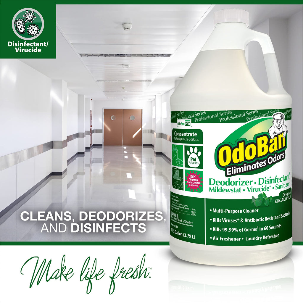 OdoBan Professional Disinfectant and Odor Eliminator Concentrate, 4 Gallons, Original Eucalyptus Scent