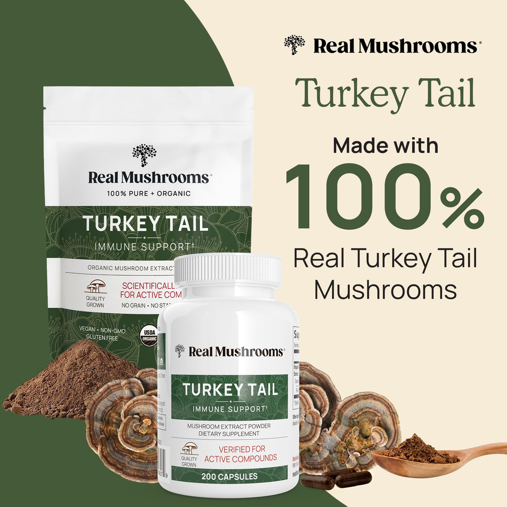 Real Mushrooms Turkey Tail Capsules – Organic Mushroom Extract for Wellness & Daily Rhythm – Vegan, Non-GMO, No Fillers Turkey Tail Extract – 90 Count Mushroom Supplement