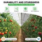 Greenhouse Plastic Sheeting 12 x 25ft - 6 Mil Clear Polyethylene Film, UV Resistant & Anti-Drip Heavy Duty Plastic Cover - Multi-Purpose Clear Tarp for Garden, Agriculture, and Construction (5-Layer)