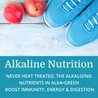 Morter HealthSystem Alka•Green Tablets Best Process Alkaline — Nutrient Dense Organic Barley Grass Supplement — Natural Source of Enzymes & Amino Acids