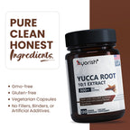 Ayorish Yucca Root Capsules 500mg 120 Count Yucca Root Extract 10:1 Herbal Supplement Plant Based Botanical Capsules Vegan Non GMO Herbal Extract Capsules