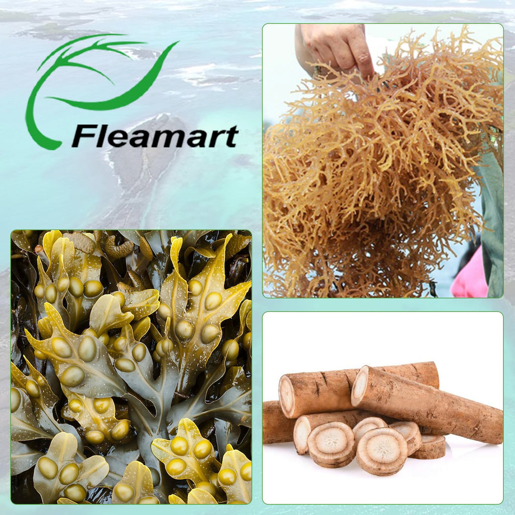 Fleamart Irish Sea Moss Capsules 120ct Raw Sea Moss Wildcrafted Bladderwrack Burdock Root Capsules Super Food Immune System Digestive Health Sea Moss Pills
