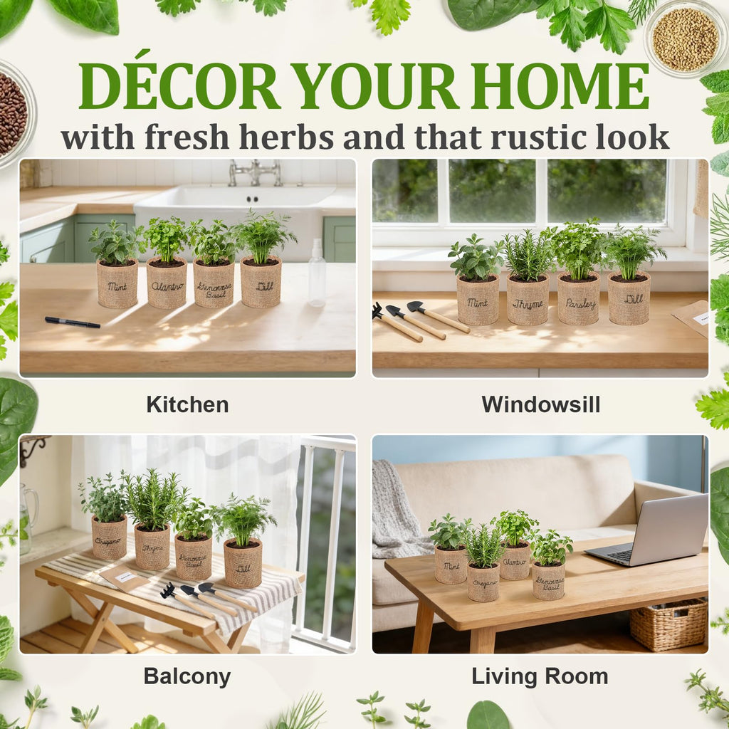 Herb Indoor Window Garden Kit - House Plants Seeds - Best Unique Christmas Gift Ideas for Women, Friend, Birthday, Housewarming, Mother, Beginner DIY Craft & Hobby Gardening Gift for Plant Lovers