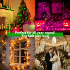 LitHome 66 FT Color Changing Fairy Lights Plug in with Remote, 200 LED