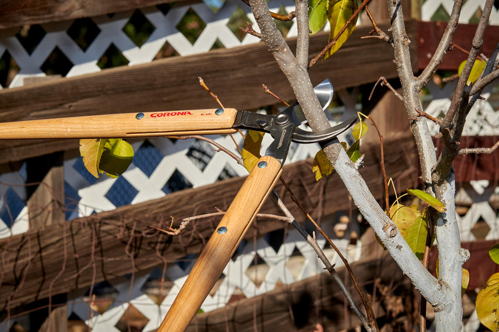 Corona Tools WL 3351 26″ Bypass Loppers – Heavy-Duty Branch Cutter for Trees, Shrubs & Landscaping