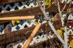 Corona Tools WL 3351 26″ Bypass Loppers – Heavy-Duty Branch Cutter for Trees, Shrubs & Landscaping