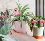 PEGZOS Mini Flamingos Figurines with Stakes - Set of 4 Small Flamingos Garden Gifts for Women Resin for Flower/Plant Pot Decorations - Miniature Fairy Garden