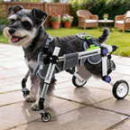 LetPetRun Dog Wheelchair 4 Wheels Adjustable, Full Body Support Dog Cart for Front & Rear Legs, Lightweight Mobility Aid for Disabled Small Dogs (XS for 11-18lbs)