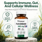 PRISTINE'S Fucoidan 500MG Immunity Supplement Capsules - 60 Day Supply - Brown Seaweed Extract - Potent Herbal Antioxidant Lung Health & Skin Health Support