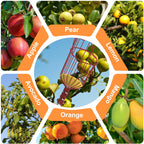 SISIUPASSIE 26FT Reach Fruit Picker, Apple Picker Pole with Basket Telescoping Tool for Apple Lemon Orange Mango Avocado Fruit Tree Picking