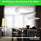 BUBO 20 Pack G4 LED Bulb 2W Equivalent 30W 6000K Daylight 250 Lumens 360°Beam Angle, T3 Halogen Bulb Replacement Landscape Bulbs, AC/DC 12V Led Lights G4 Bi-Pin Base for Outdoor Landscape Lighting