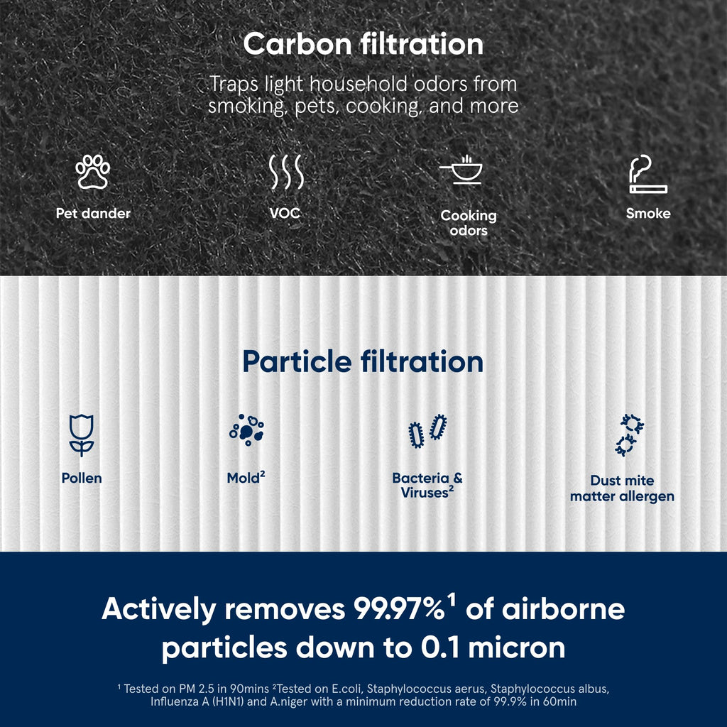 BLUEAIR Genuine 411 Series Air Purifier Replacement Filter, Everyday