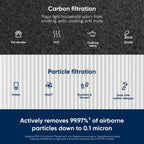 BLUEAIR Genuine 411 Series Air Purifier Replacement Filter, Everyday