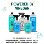 Aunt Fannie's Extra Strength Cleaning Vinegar, Multipurpose Household Cleaner, No Added Scents, Dyes, or Other Additives, 32 oz, Pack of 6