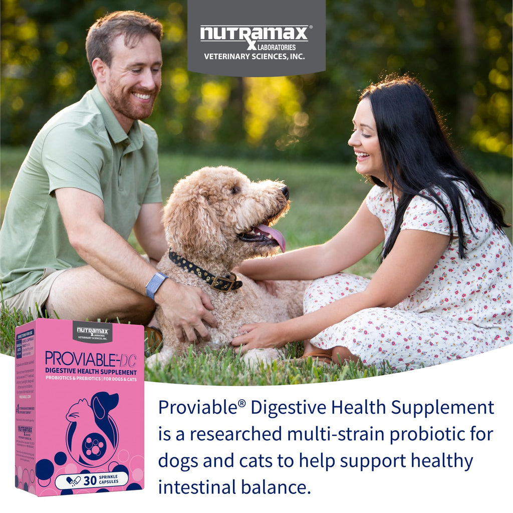 Nutramax Proviable Probiotics for Dogs & Cats, Sprinkle Capsules, 30ct