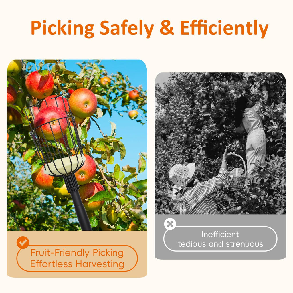 Pragmatist Fruit Picker Pole Tool with Basket, 9.6 FT (116 Inch) Adjustable Fruit Grabber Reacher Tool Long Handle Fruit Catcher for Apple Lemon Pear Citrus Mango Tree Gardening Supplies, Black