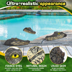 Silipull 3 Pcs Floating Alligator Head Decoy Pool Accessories 12.6 Inch Fake Alligator Pool Float Decoy for Goose, Duck Control, Garden and Patio Accessories (Classic)