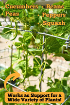 Happy Trees Large Heavy Duty Tomato Cages - Support Trellis for Climbing Vegetables and Plants - 18" x 18" x 58" - Thick Gauge Galvanized Steel, Collapsible Easy Storage, 3-Pack, Made in USA