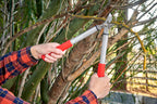 Corona Tools Forged Steel ClassicCUT Bypass Hand Pruner – 3/4-inch Cut Capacity Heavy-Duty Garden Pruning Shears for Tree, Shrub & Plant Trimming
