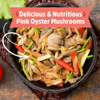 Back to the Roots Organic Pink Mushroom Grow Kit, Harvest Gourmet Mushrooms In 10 Days