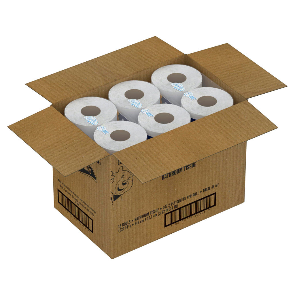 Charmin Ultra Soft Cushiony Touch 2-Ply Toilet Paper, 18 Family Mega Rolls = 90 Regular Rolls, White