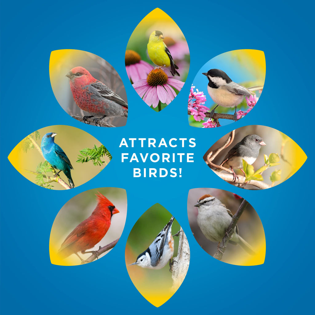 Audubon Park Songbird Wild Bird Seed, 14 lb.