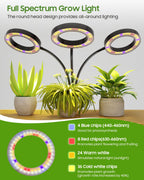 Tmsluody Grow Lights for Indoor Plants, Full Spectrum LED Plant Light with Tripod Stand, Plant Growing Lamps with Timer 3/9/12H, 3 Color Modes, 6 Brightness, 78'' Adjustable Height for Large Plants
