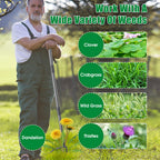 Lilyvane Weed Puller Tool, Stand Up Manual Weeder, Heavy Duty Garden Weeding Tool with 60 inch Long Handle,4 Claw Steel Head, Uprooting Dandelion Removal Gardening Tools for Lawn Grass Grabber
