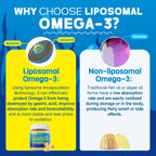 Vegan Omega-3 Gummies 1000mg +CoQ10+Magnesium- EPA 600mg DHA 400mg, Fish Oil Omega 3 Supplements Alternative for Women Men Adults, Liposomal, Algae, Plant Sterols, Garlic,B6,B9, B12, Sugar Free, 2Pack