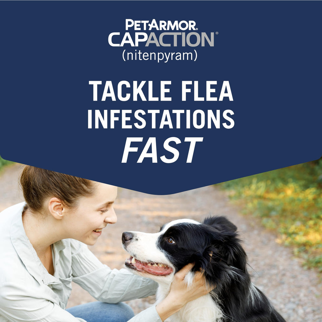 PetArmor CAPACTION Oral Flea Tablets Dogs 25+ lbs, Nitenpyram, 6-Dose