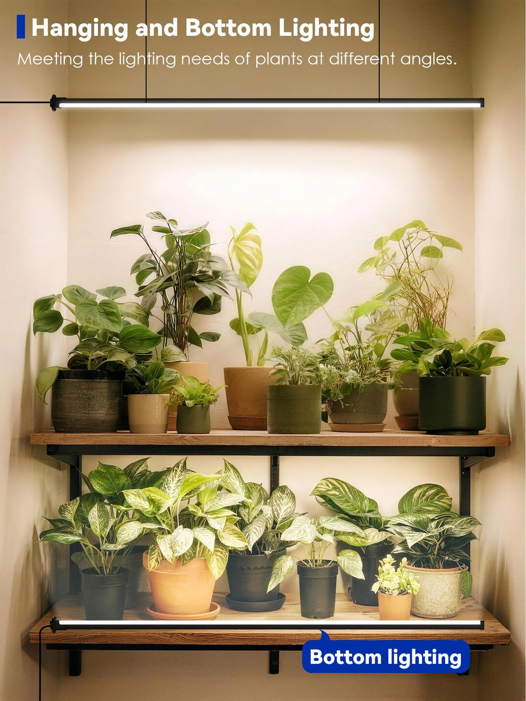 GLOWRIUM 60in Standing Grow Light, Vertical Grow Lights for Indoor Plants
