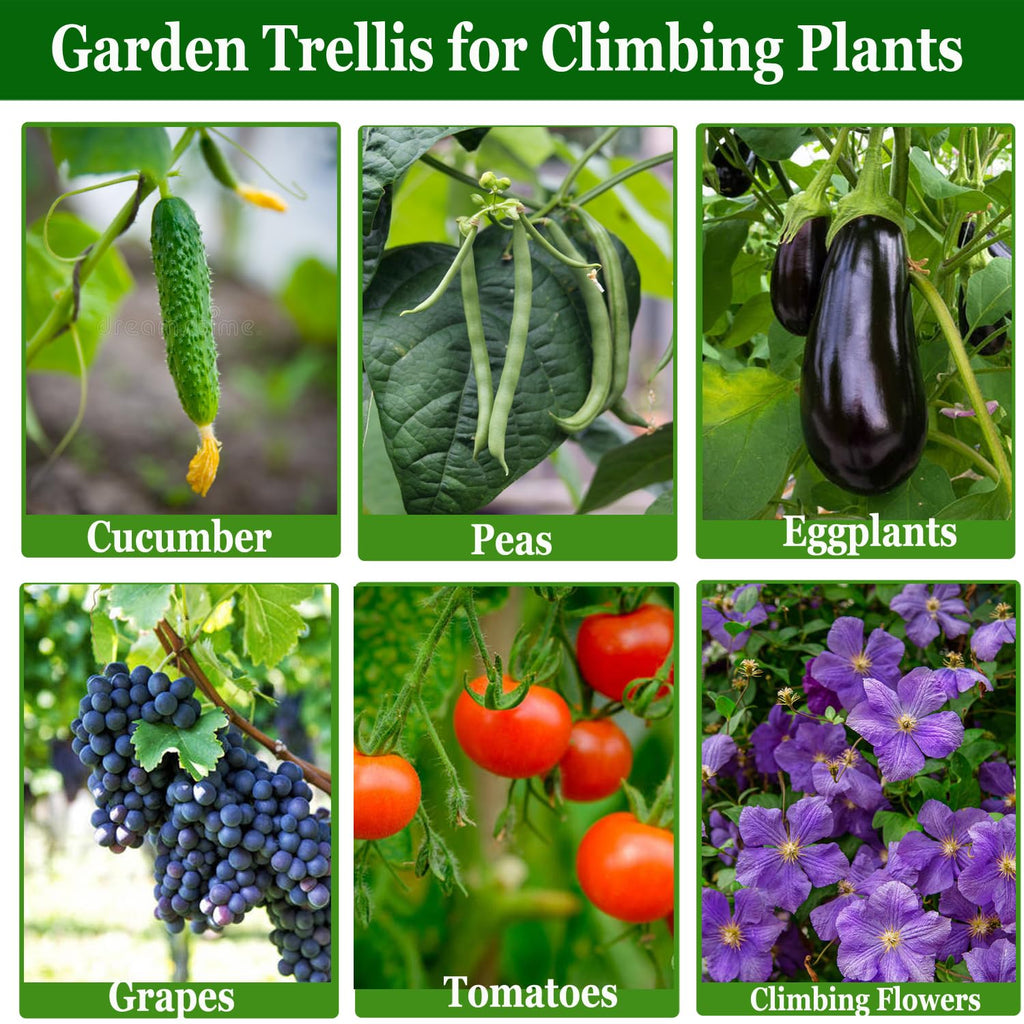 Cucumber Trellis for Raised Bed, U-Shape Garden Arch Metal Support for Climbing Plants, Metal Arch Plant Support Vegetables Trellis, Plant Support for Vine Outdoor (47x15.7in) NOT for Heavy Plant