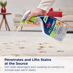 Bissell PET PRO OXY Stain Destroyer for Carpet and Upholstery, 22 oz, 17739, 2 Count (Pack of 2)