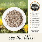 Wild Bliss Organic Wild Raw Dandelion Root Tea - Pharmacopoeia Quality Caffeine Free Herbal Detox Support - 75 Plant Based Tea Bags