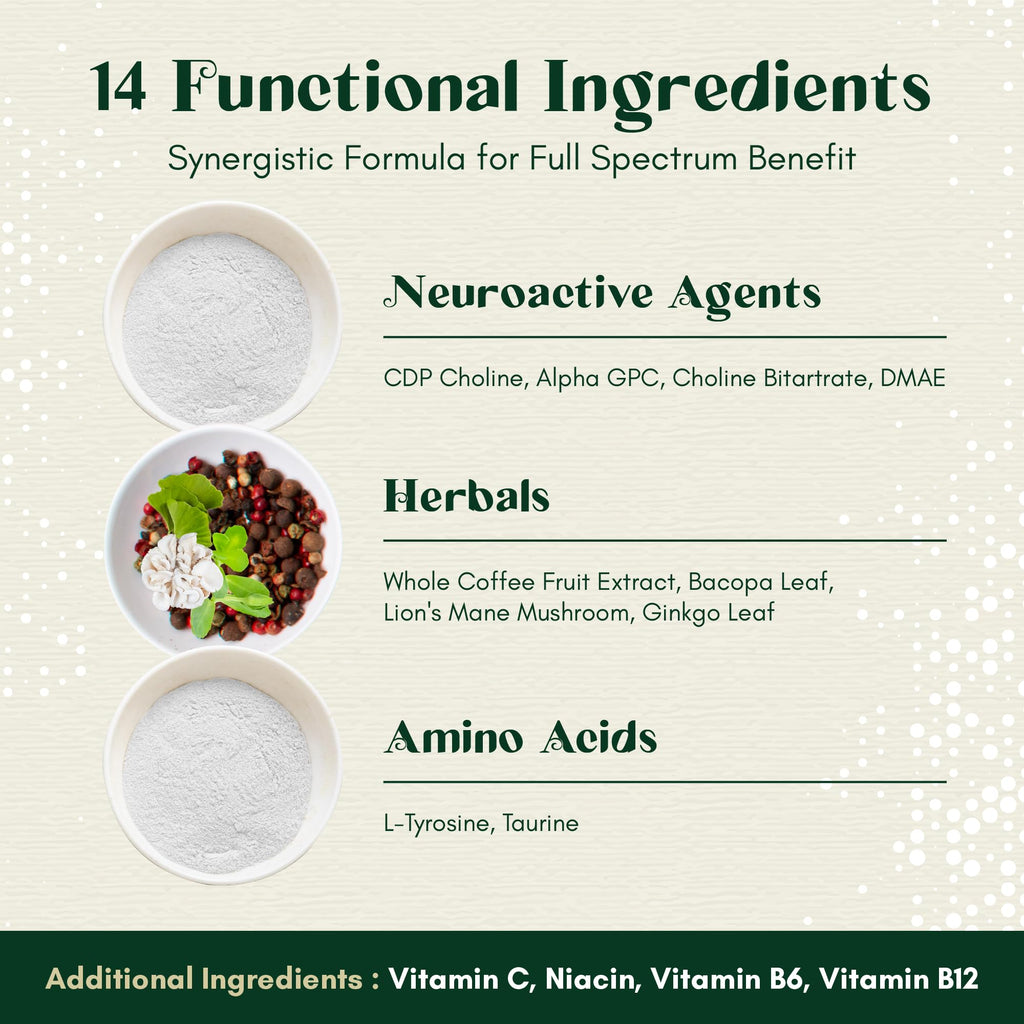 Rootful Mind Alpha Focus Nootropic - Memory and Focus Brain Booster Supplement with Choline, Citicoline, GPC, L-Tyrosine, Bacopa Monnieri, DMAE, Gingko Biloba, Lion's Mane, Niacinamide - 60 Capsules