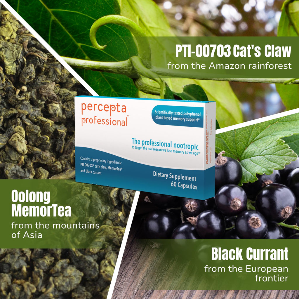 Percepta Professional Brain Supplement