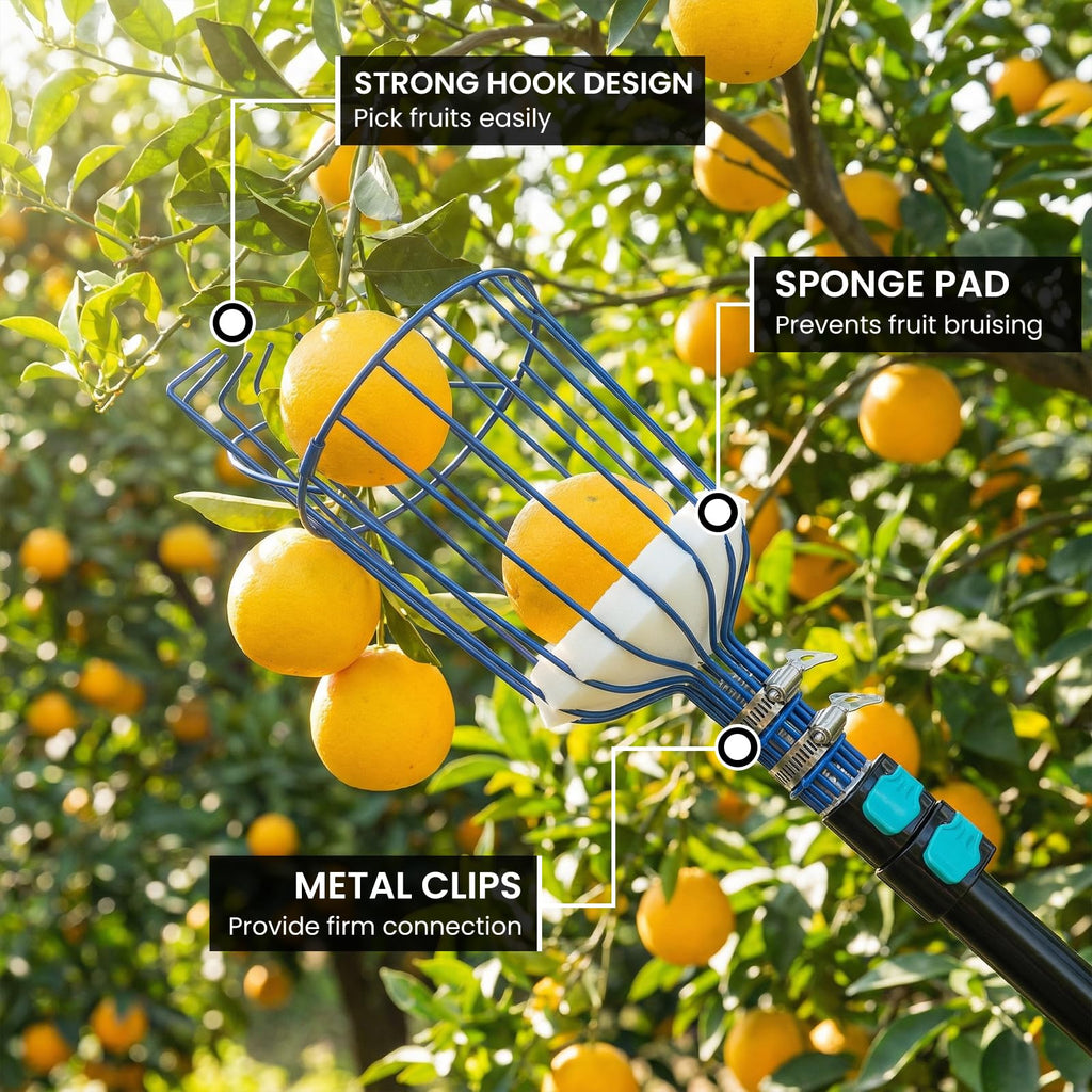 MAVRIZ 5-12ft Fruit Picker Pole with Basket, 20FT Reach Telescoping Apple Picker Extension Pole, Fruit Grabber for Harvesting Mango, Orange, Lemon, Avocado, Pear - Sturdy Aluminum Fruit Tree Picker