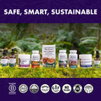 Host Defense Stamets 7 Mushroom Powder - 7 Species Blend - Mushroom Supplement for Immune Support with Royal Sun Blazei, Cordyceps, Reishi, Maitake, Lion's Mane, Chaga & Mesima - 3.5 oz (66 Servings)*