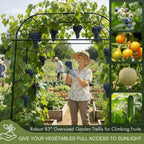 BAXAM Wide Arch Trellis 7FT Extra Tall Garden Trellis Arch – Sturdy Plastic Coated Steel Metal Arch for Garden Climbing Plants & Vegetables, Weather-Resistant Outdoor Cucumber Trellis Arch