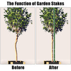 FEED GARDEN Garden Stakes 72 Inch 6ft 25 Pack, Sturdy Plant Metal Sticks Support, Plastic Coated Plant Stakes,Tomato Stakes, Beans,Trees