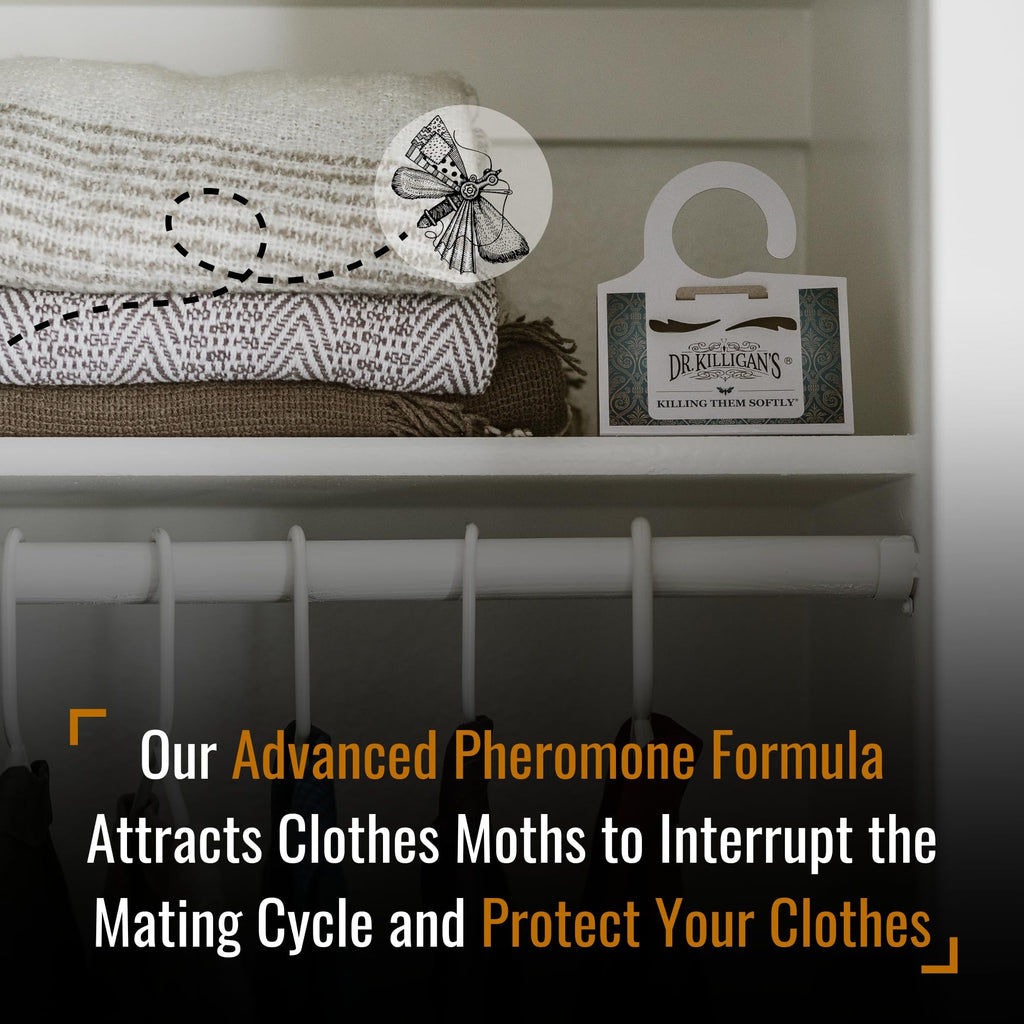 Dr. Killigan's Premium Clothing Moth Traps with Pheromones (White, 6 Traps)