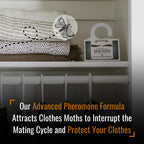 Dr. Killigan's Premium Clothing Moth Traps with Pheromones (White, 6 Traps)